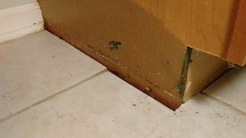 Mold growth at the base of a cabinet from moisture exposure